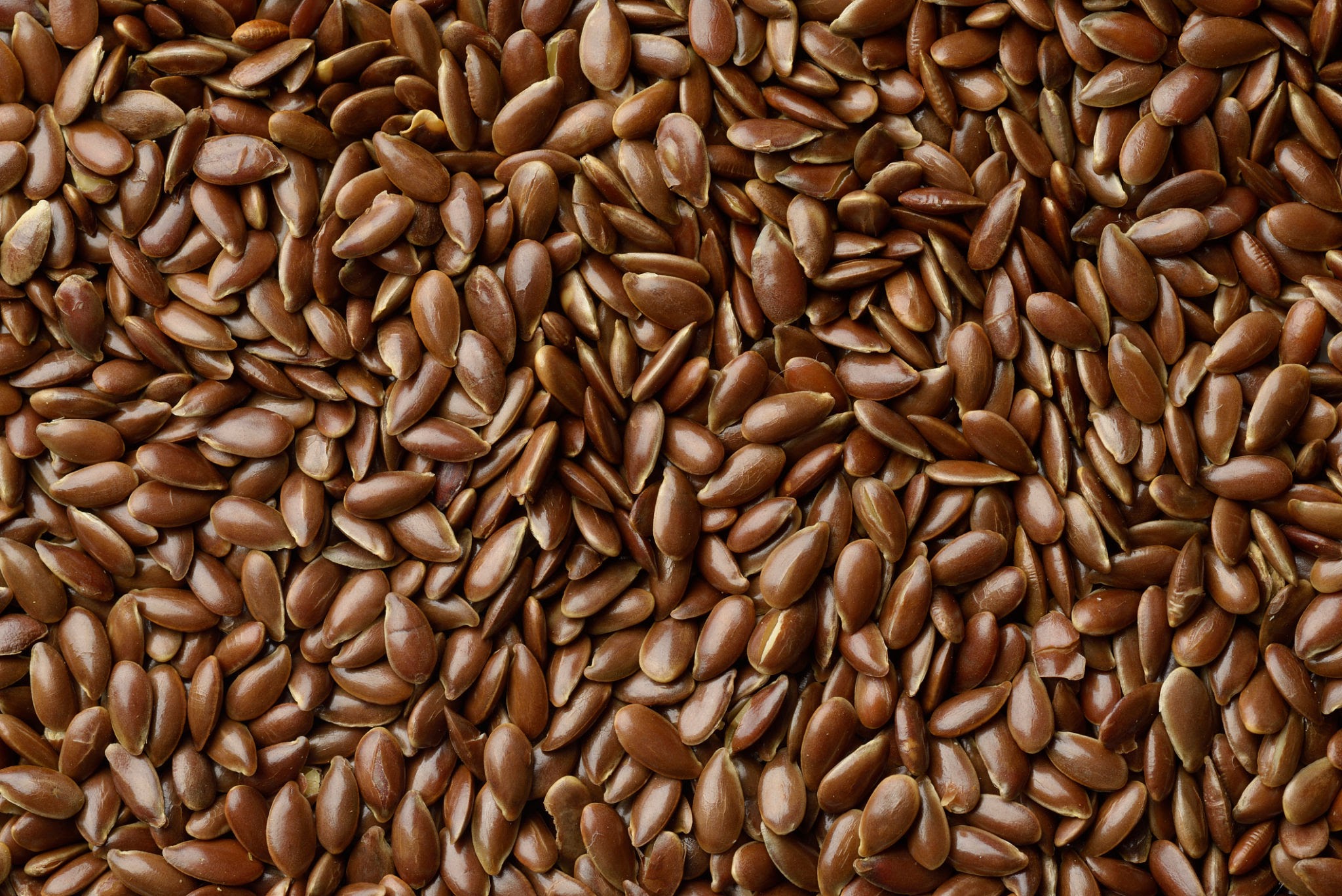 High resolution image of brown roasted whole flax seeds shot in studio High resolution image of brown roasted whole flax seeds shot in studio